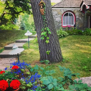 a close up of a flower garden